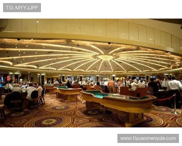 澳门新濠的场子布局详解,帮你了解每个场地的规模、娱乐项目和特色亮点 澳门新濠的场子布局详解,帮你了解每个场地的规模、娱乐项目和特色亮点