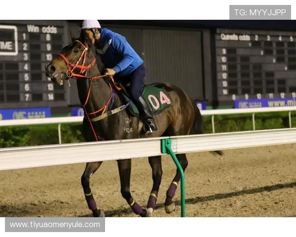 澳门赛马会举办的各类赛事对提升澳门国际知名度和影响力的积极影响