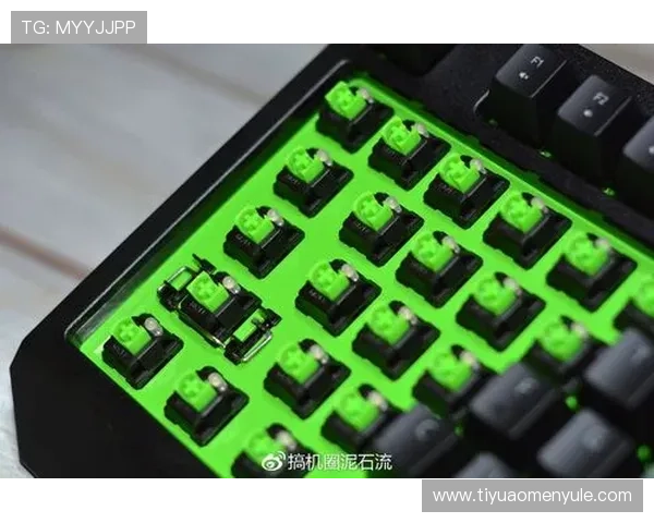 澳门凯旋网址app下载步骤详解，便捷安装快速登录确保畅快游戏体验